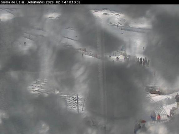 Webcam La Covatilla: Debutantes