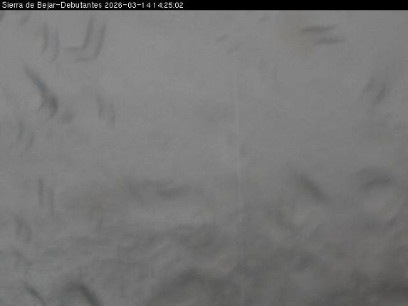 Webcam La Covatilla: Debutantes