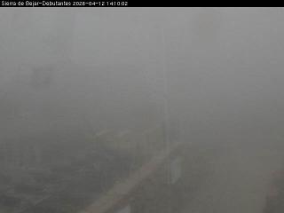 La Covatilla: Debutantes (sierradebejar-lacovatilla.com)