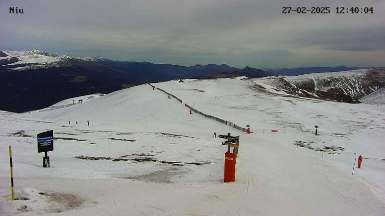 Webcam La Molina: Niu de L-Aliga