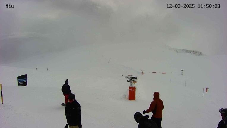 Webcam La Molina: Niu de L-Aliga