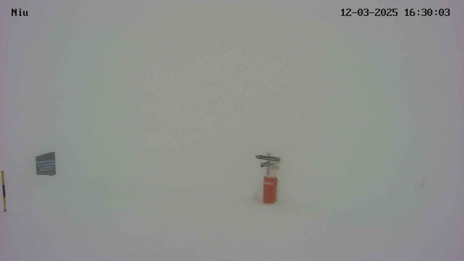 Webcam La Molina: Niu de L-Aliga