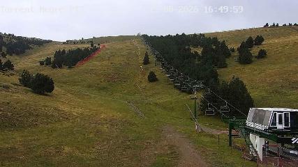 La Molina: Torrent Negre (pirineu365.cat)
