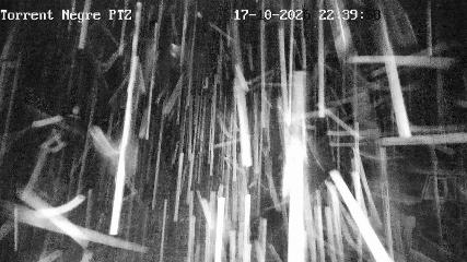 La Molina: Torrent Negre (pirineu365.cat)