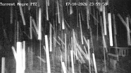 La Molina: Torrent Negre (pirineu365.cat)