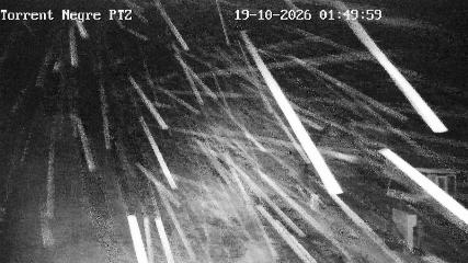 La Molina: Torrent Negre (pirineu365.cat)