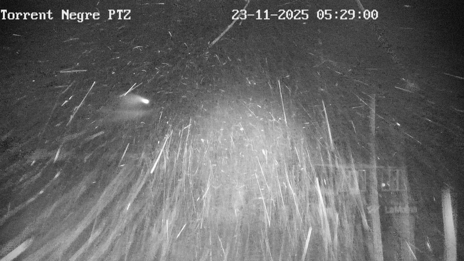 Webcam La Molina: Torrent Negre