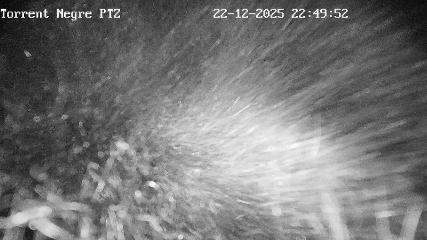 La Molina: Torrent Negre (pirineu365.cat)