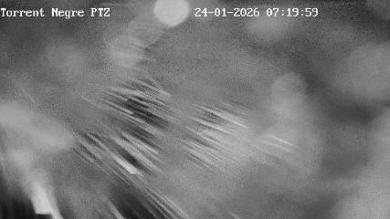 La Molina: Torrent Negre (pirineu365.cat)