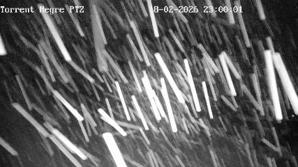 La Molina: Torrent Negre (pirineu365.cat)