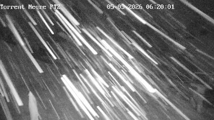 La Molina: Torrent Negre (pirineu365.cat)