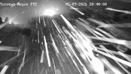 La Molina: Torrent Negre (pirineu365.cat)