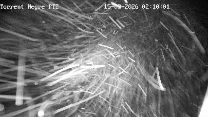 La Molina: Torrent Negre (pirineu365.cat)