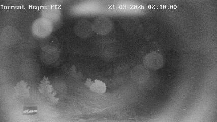 La Molina: Torrent Negre (pirineu365.cat)