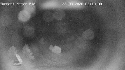 La Molina: Torrent Negre (pirineu365.cat)