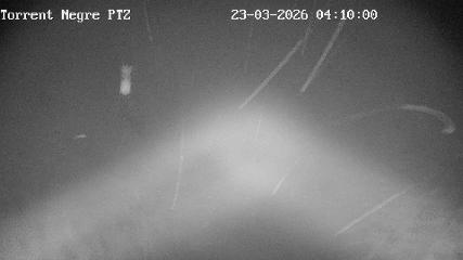 La Molina: Torrent Negre (pirineu365.cat)