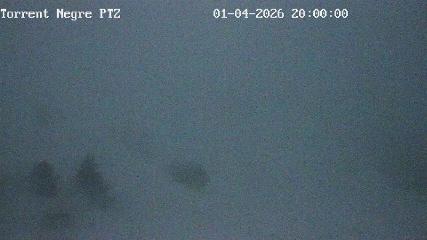La Molina: Torrent Negre (pirineu365.cat)