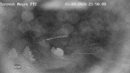 La Molina: Torrent Negre (pirineu365.cat)