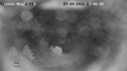 La Molina: Torrent Negre (pirineu365.cat)