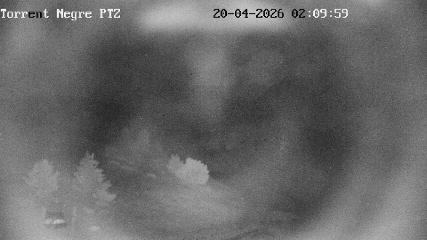 La Molina: Torrent Negre (pirineu365.cat)