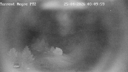 La Molina: Torrent Negre (pirineu365.cat)