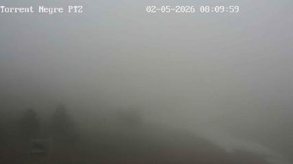 La Molina: Torrent Negre (pirineu365.cat)