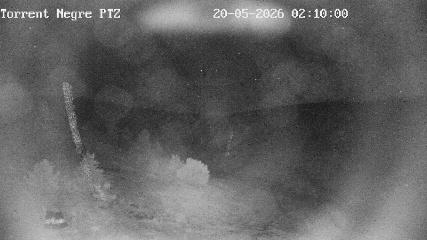 La Molina: Torrent Negre (pirineu365.cat)