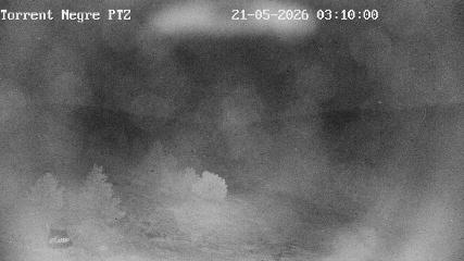 La Molina: Torrent Negre (pirineu365.cat)