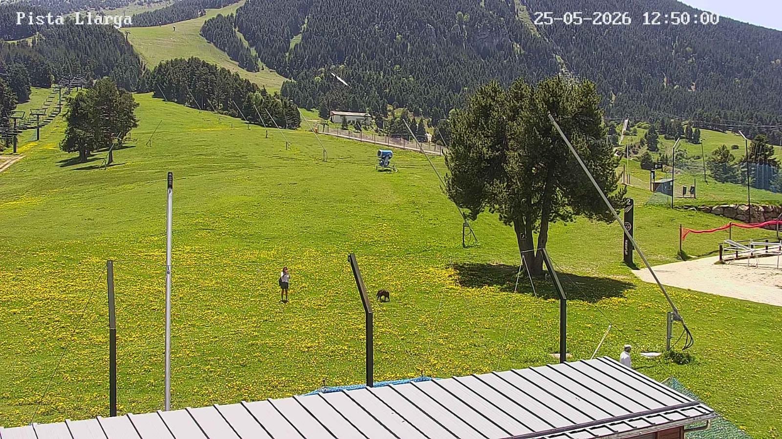 Webcam La Molina: Zona Taquillas