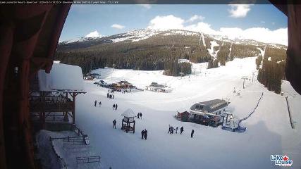 Lake Louise: Front Side - Whitehorn Summit (skilouise.com)