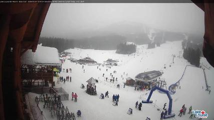 Lake Louise: Front Side - Whitehorn Summit (skilouise.com)