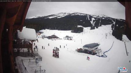 Lake Louise: Front Side - Whitehorn Summit (skilouise.com)