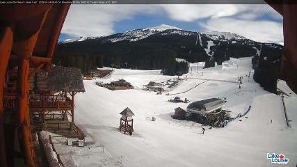 Lake Louise: Front Side - Whitehorn Summit (skilouise.com)