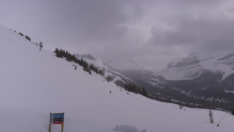 Webcam Lake Louise: Lake Louise 360
