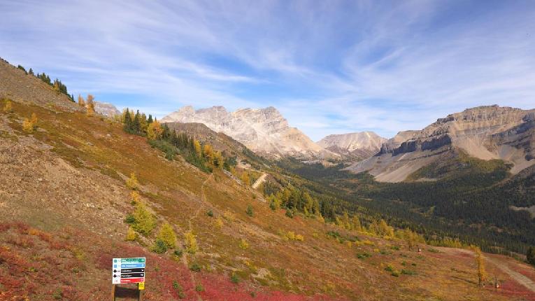 Webcam Lake Louise: Lake Louise 360