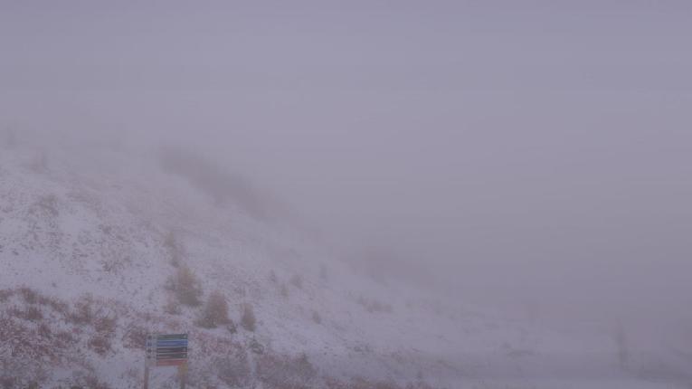 Webcam Lake Louise: Lake Louise 360