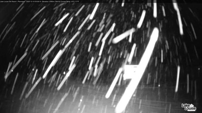 Webcam Lake Louise: Ptarmigan