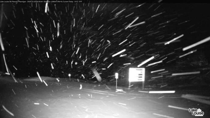 Webcam Lake Louise: Ptarmigan