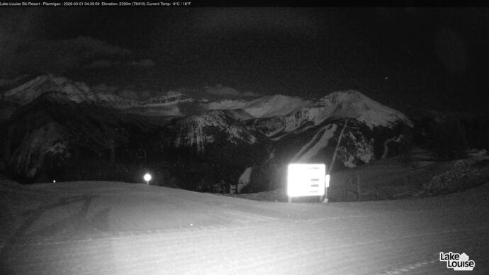 Webcam Lake Louise: Ptarmigan