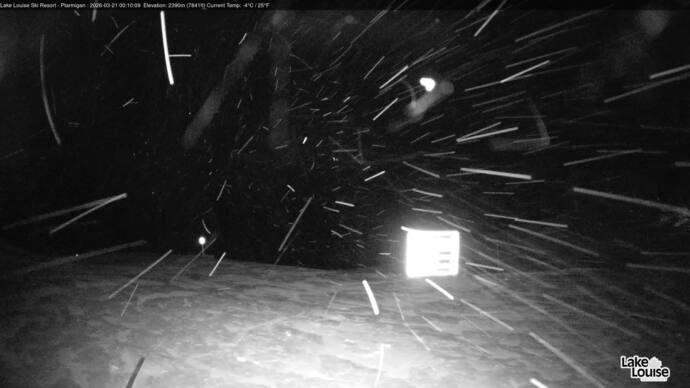 Webcam Lake Louise: Ptarmigan