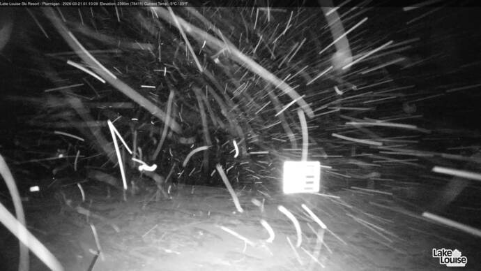 Webcam Lake Louise: Ptarmigan