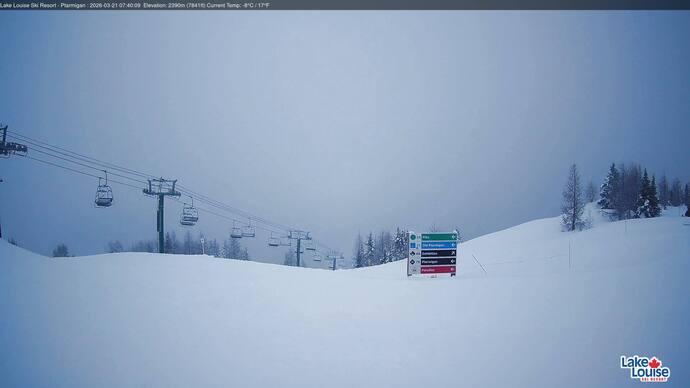 Webcam Lake Louise: Ptarmigan