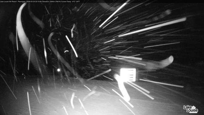 Webcam Lake Louise: Ptarmigan