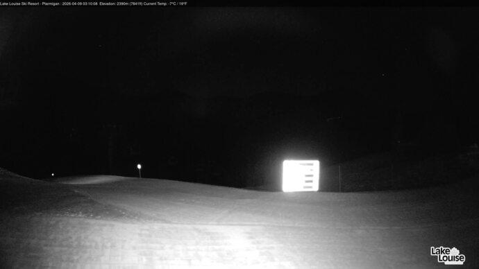 Webcam Lake Louise: Ptarmigan