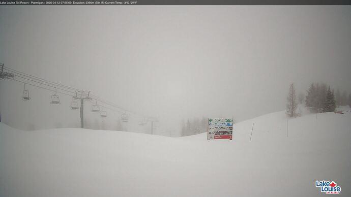 Webcam Lake Louise: Ptarmigan