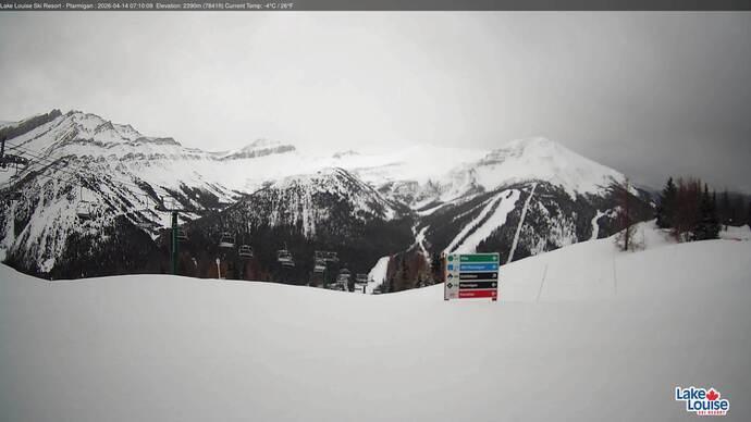Webcam Lake Louise: Ptarmigan