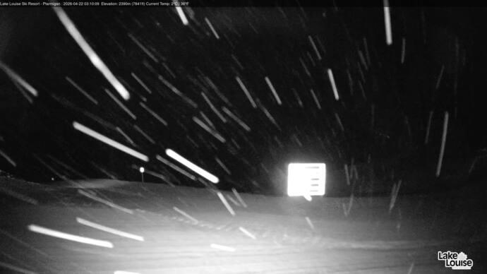 Webcam Lake Louise: Ptarmigan