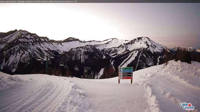 Webcam Lake Louise: Ptarmigan