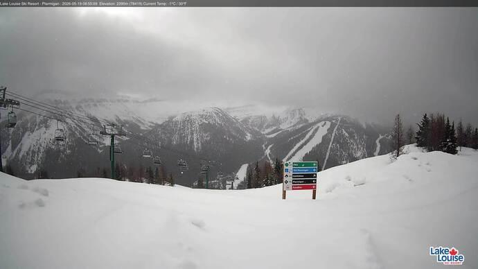Webcam Lake Louise: Ptarmigan