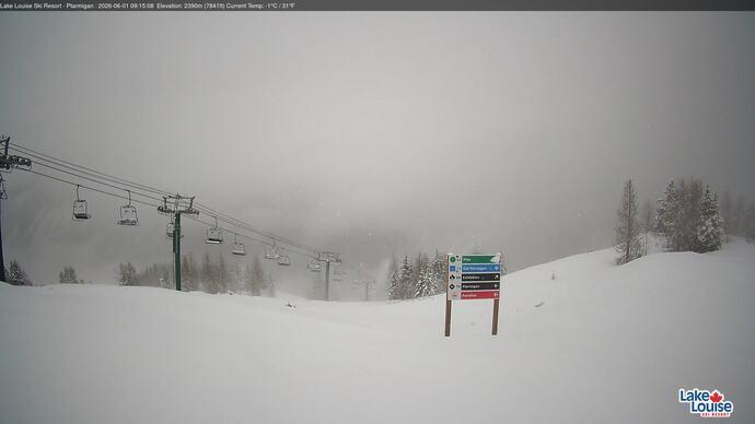 Webcam Lake Louise: Ptarmigan